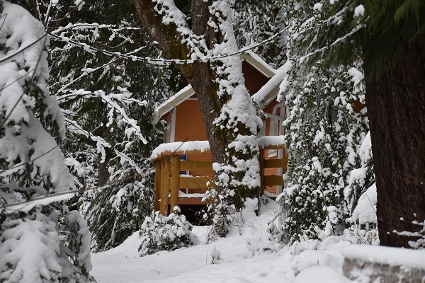 Cabin in snow